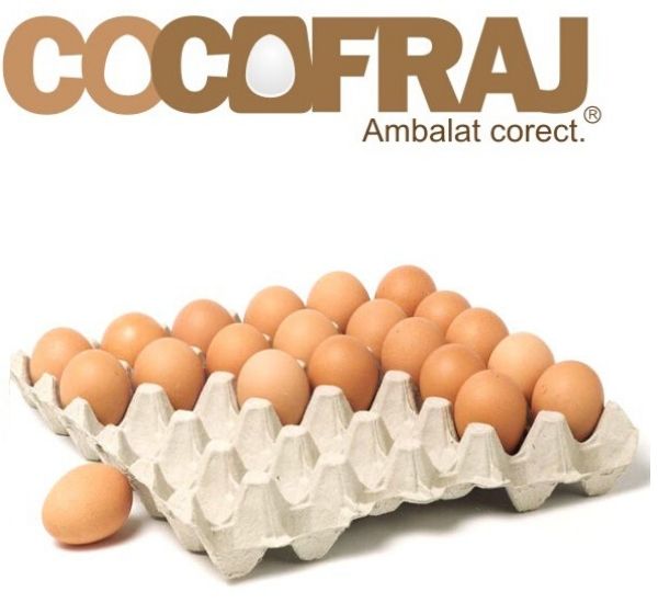 Cofraje de calitate pentru ambalarea oualelor.